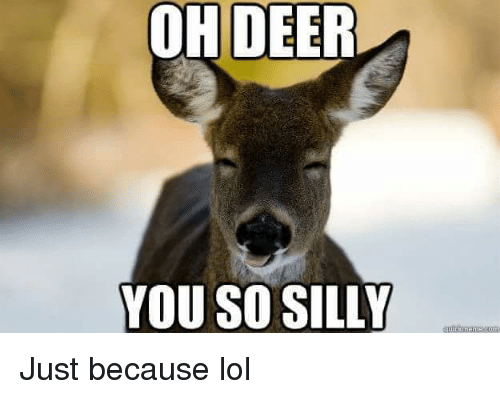 oh-deer-you-so-silly-just-because-lol-8530782.png