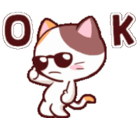 ok-cat.gif