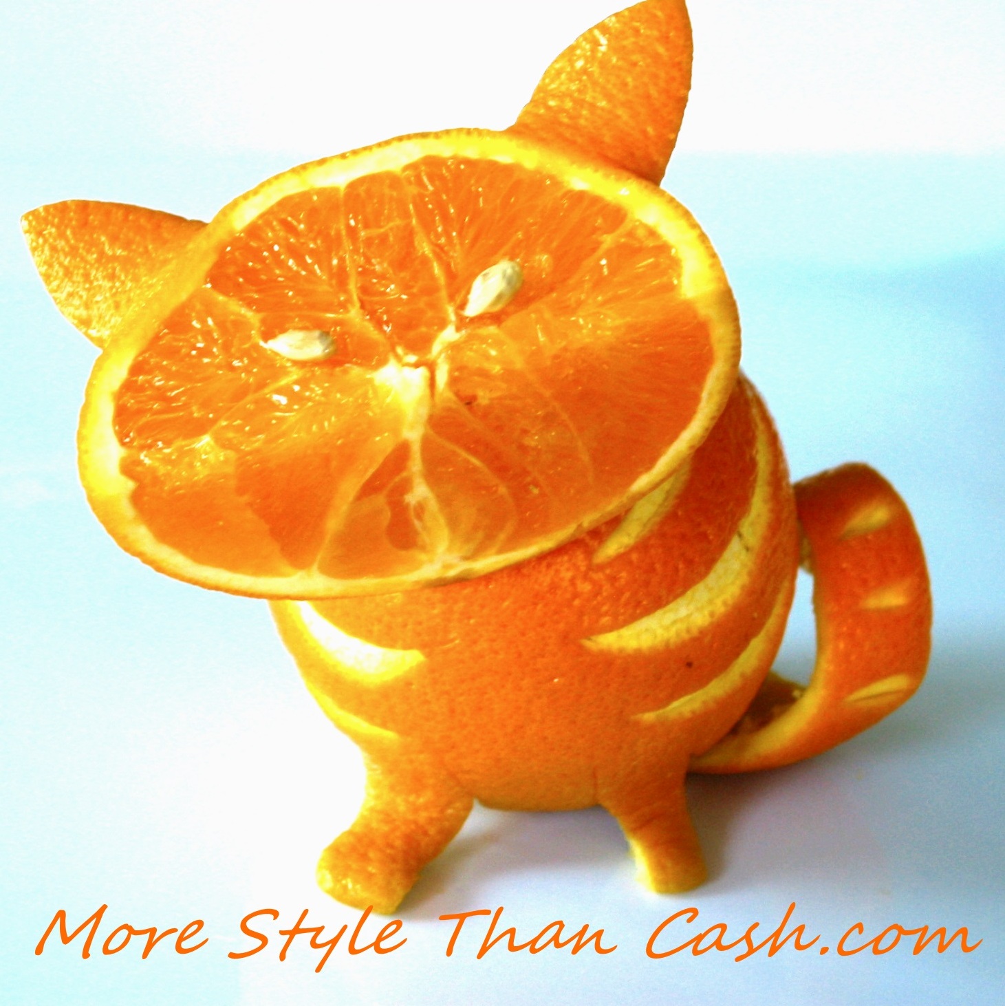 orange_cat.jpg