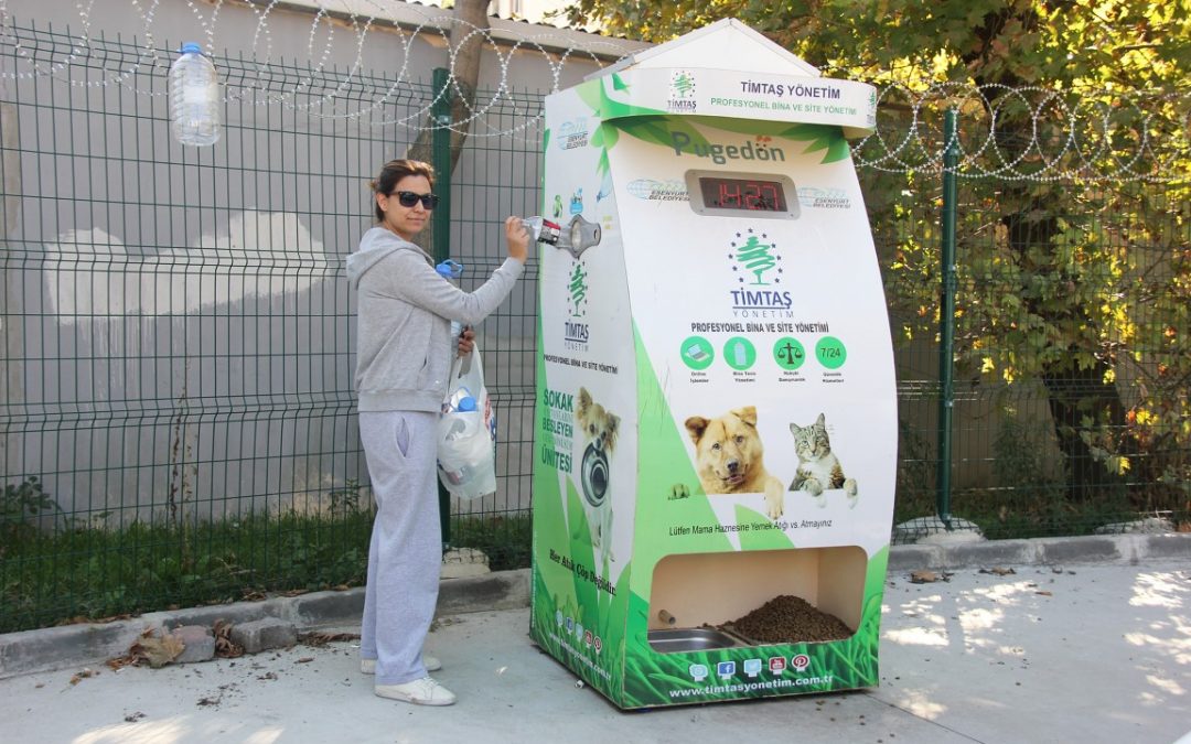 Pugedon-Recycling-Box-4-1080x675.jpg