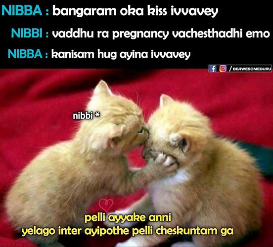 sb34.jpg