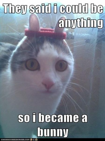 Silly-Memes7-450x600.jpg