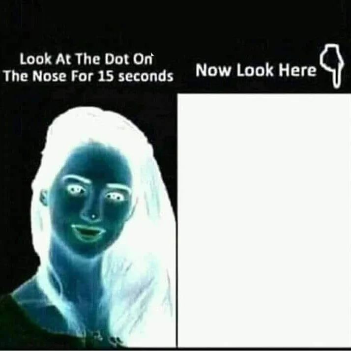 Snapinsta.app_343209421_945976996716385_5012012775450992857_n_1080.jpg