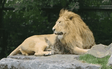 tired-sleep.gif