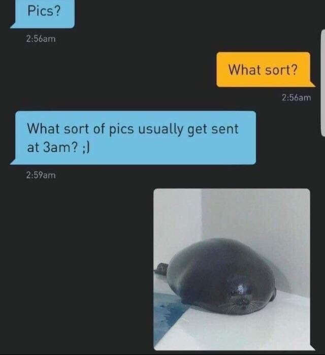tumblr_pbie1tfdiD1r1mpi1o1_640.jpg