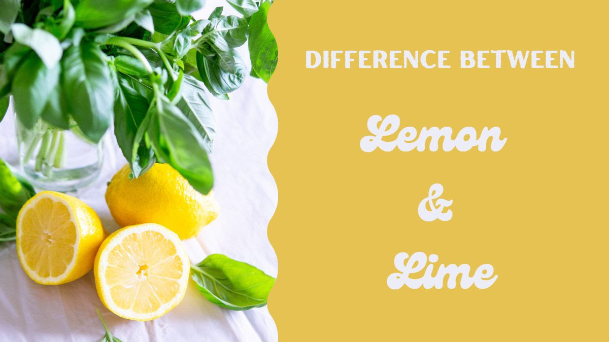 what-is-the-difference-between-lemon-and-lime.jpg