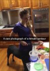 confusing_perspective_images_pt2_15.jpg