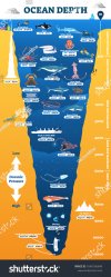 stock-vector-ocean-depth-underwater-wildlife-infographic-vector-illustration-educational-ocean...jpg