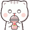 mochi-cat-chibi-cat.gif
