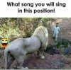 FB_IMG_1597175566240.jpg