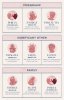 types-of-love-9-combination-720x1141 (1).jpg