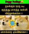 images (24).jpeg