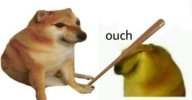 images (29).jpeg