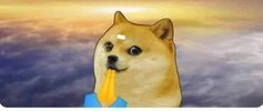 images (51).jpeg