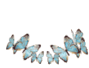 103596BE-A996-47C1-A0FE-3620E3BFA7F5.gif