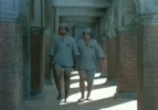 8Q5i.gif