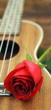 239-2396789_guitar-in-nature-background.jpg