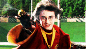Harry-Potter-and-the-Sorcerer-s-Stone-GIFs-harry-potter-34844761-245-140.gif
