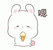 bunny-cute.gif