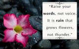 513567239-EmilysQuotes_Com-communication-amazing-great-wisdom-intelligence-Rumi.jpg 513567239-EmilysQuotes_Com-communication-amazing-great-wisdom-intelligence-Rumi.jpg