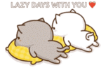 peach-cat-pillow (1).gif