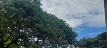 20230711_122727.jpg