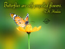 3304141-butterfly-quotes-graphics-7.jpg