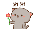 flower-for-you-cat.gif