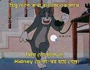FB_IMG_1678916187431.jpg