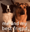 how-i-treat-my-best-friend.gif