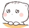 cute-cat.gif