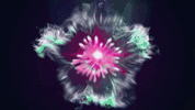 499731929cool-exploding-pink-heart-animation-gif.gif