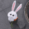 snowball-bunny-carrot.gif