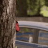 1692199422991.gif