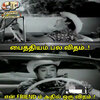 images (16).jpeg