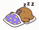 172f6c17525a8f8b267528abad926034.gif