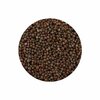 0006_rai-seeds-500x500-2.jpg