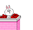 download_20220131_200840.gif