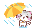 user51380_3c81e7f205ee.gif