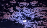 moon-cloud.gif