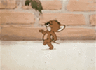 IMG_5333.gif