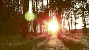 88f9ca54815ef1e8a4ccd67a062e52a6.gif 88f9ca54815ef1e8a4ccd67a062e52a6.gif