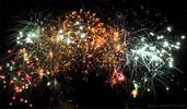 IMG_5417.gif