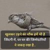 FB_IMG_1606399022237.jpg