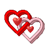 IMG_7738.gif