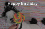 happy-birthday-birthday-goat.gif