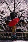 images (72) (17).jpeg