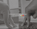 IMG_20230608_121236.gif IMG_20230608_121236.gif