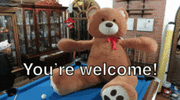 youre-welcome-bear.gif