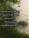 IMG_20231106_080450.jpg